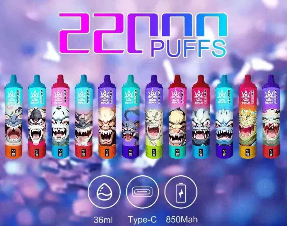 BANG BEACH 22000 PUFFS 12